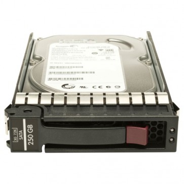 Диск HP 250GB 3G SATA 7.2K rpm LFF (3.5-inch) Entry Hard Drive