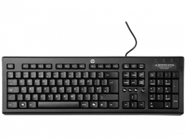 Клавиатура HP Classic Wired Keyboard