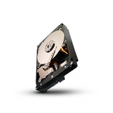 Диск SEAGATE, 1TB, Constellation ES, SAS